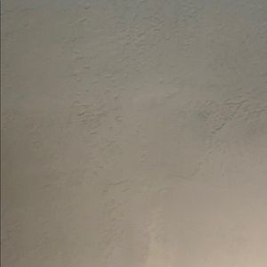 Meet your Posher, Elvis